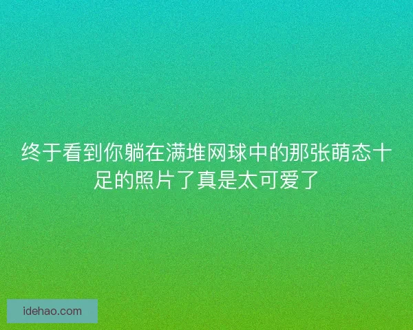 终于看到你躺在满堆网球中的那张萌态十足的照片了真是太可爱了 终于看到你躺在满堆网球中的那张萌态十足的照片了真是太可爱了