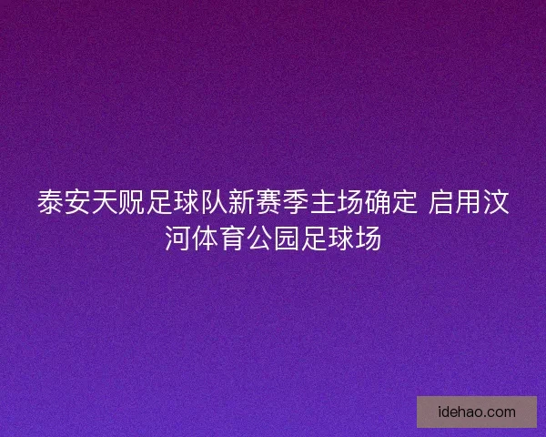 泰安天贶足球队新赛季主场确定 启用汶河体育公园足球场