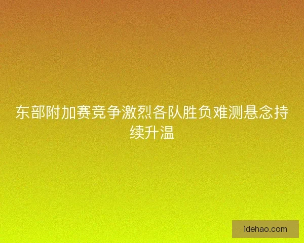 东部附加赛竞争激烈各队胜负难测悬念持续升温 东部附加赛竞争激烈各队胜负难测悬念持续升温