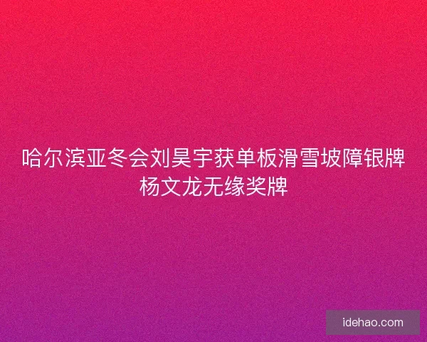 哈尔滨亚冬会刘昊宇获单板滑雪坡障银牌杨文龙无缘奖牌 哈尔滨亚冬会刘昊宇获单板滑雪坡障银牌杨文龙无缘奖牌